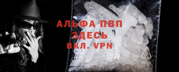 хмурый Осинники