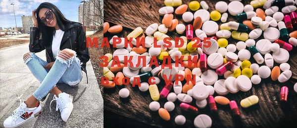 хмурый Осинники