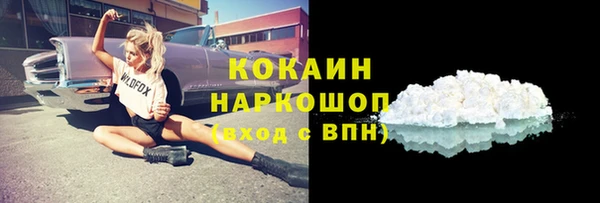 хмурый Осинники