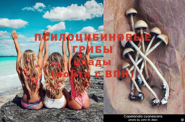 амф Абдулино