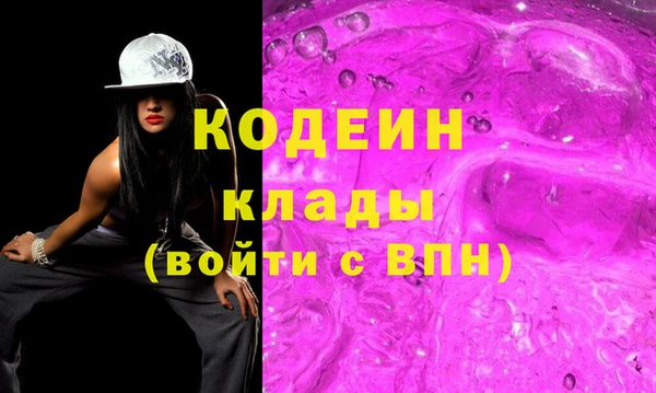 хмурый Осинники