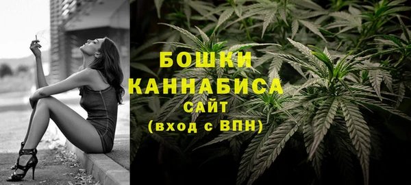хмурый Осинники