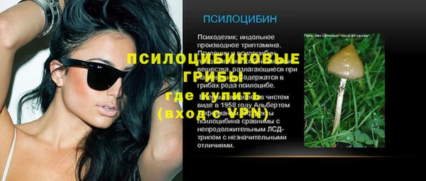 хмурый Осинники